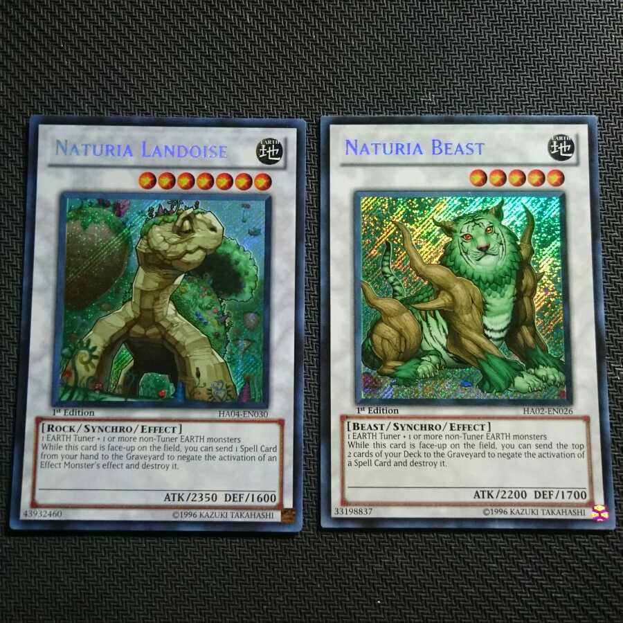 英語 ナチュル シク