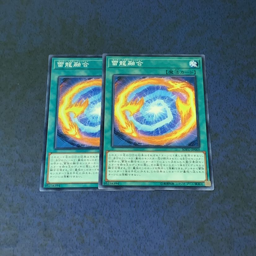 雷龍融合 ノーマル