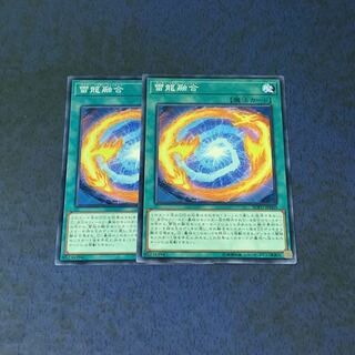 雷龍融合 ノーマル