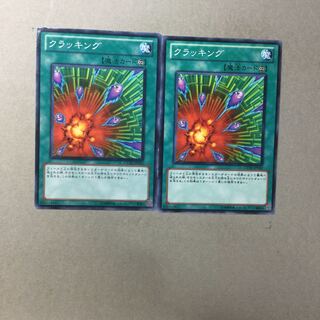 クラッキング　２枚