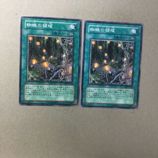 蜘蛛の領域　２枚