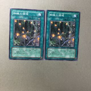 蜘蛛の領域　２枚