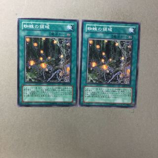 蜘蛛の領域　２枚