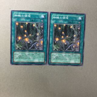 蜘蛛の領域　２枚