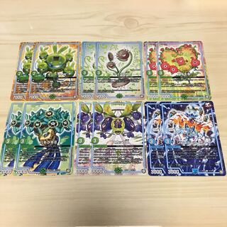 モニーリャ、ワイラビ、アネモ、パキラキ、スカップ、シャンデレラ・ボーイ