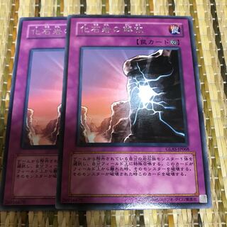 化石岩の解放 レア