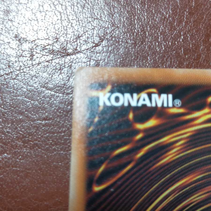 青眼の白龍　角折れ