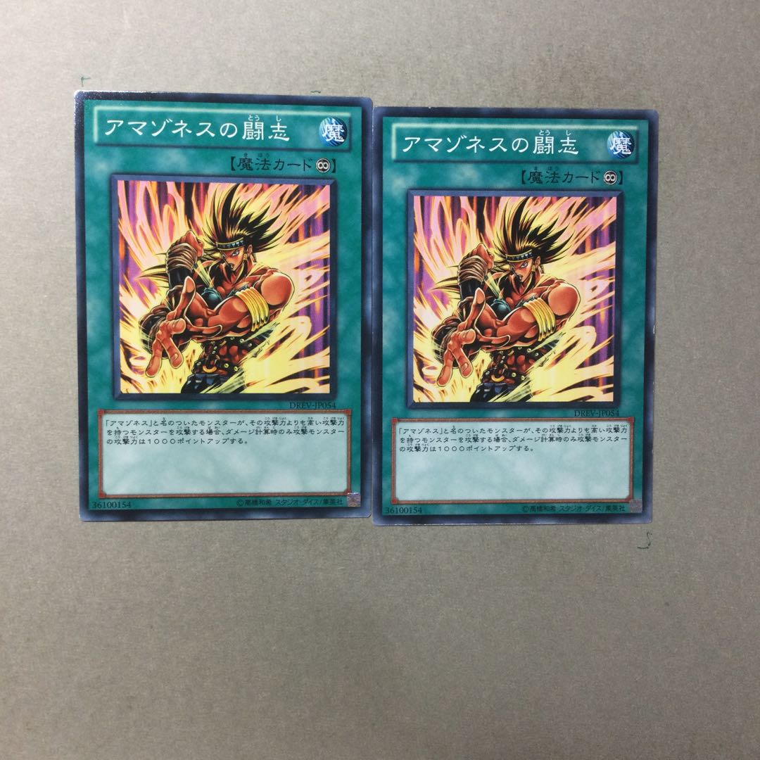 アマゾネスの闘志　２枚