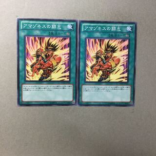 アマゾネスの闘志　２枚