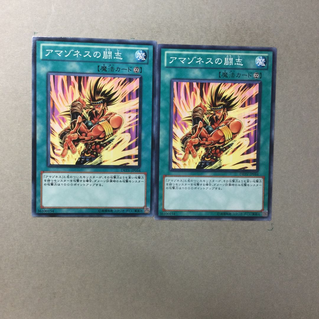 アマゾネスの闘志　２枚