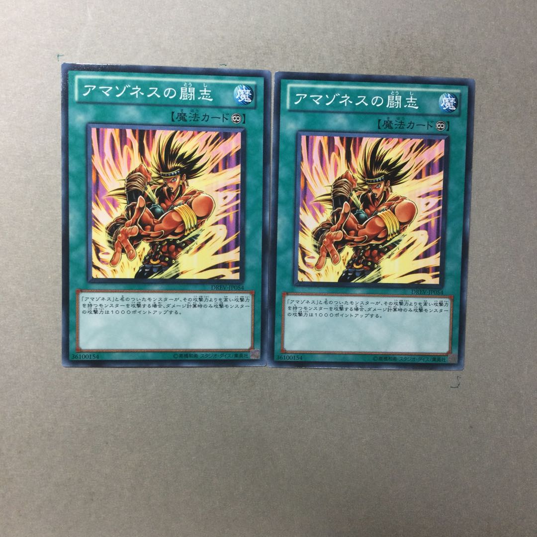 アマゾネスの闘志　２枚