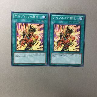 アマゾネスの闘志　２枚