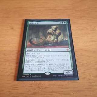 探索する獣　Foil　1枚