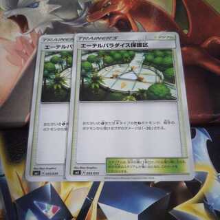 エーテルパラダイス保護区