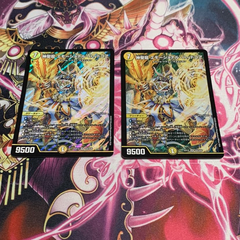 神聖龍 エモーショナル・ハードコア