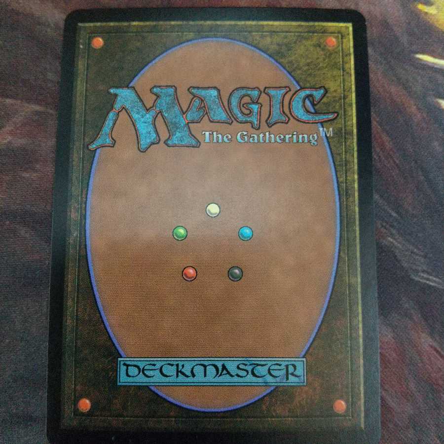 樹木茂る山麓　日　ONS