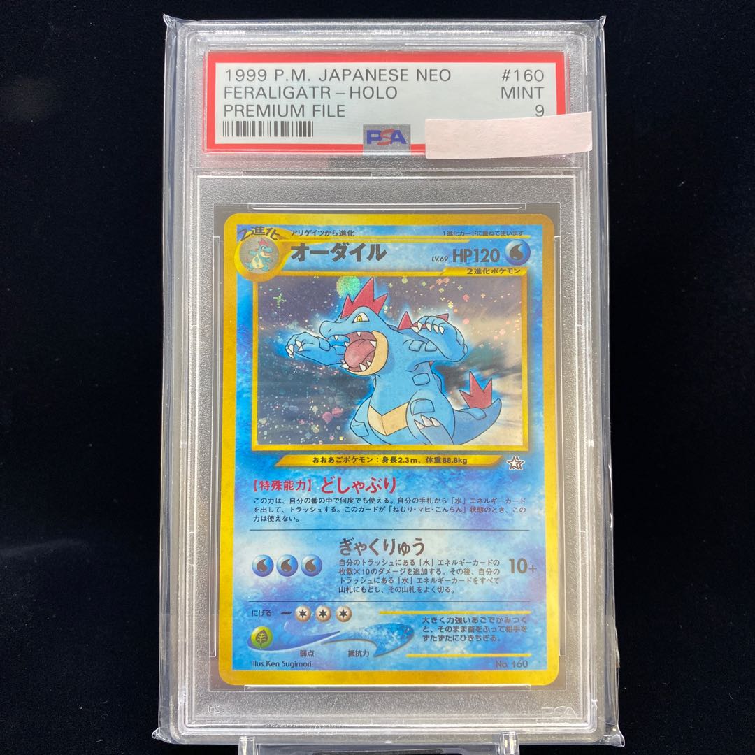 オーダイル PSA9 どしゃぶり ぎゃくりゅう