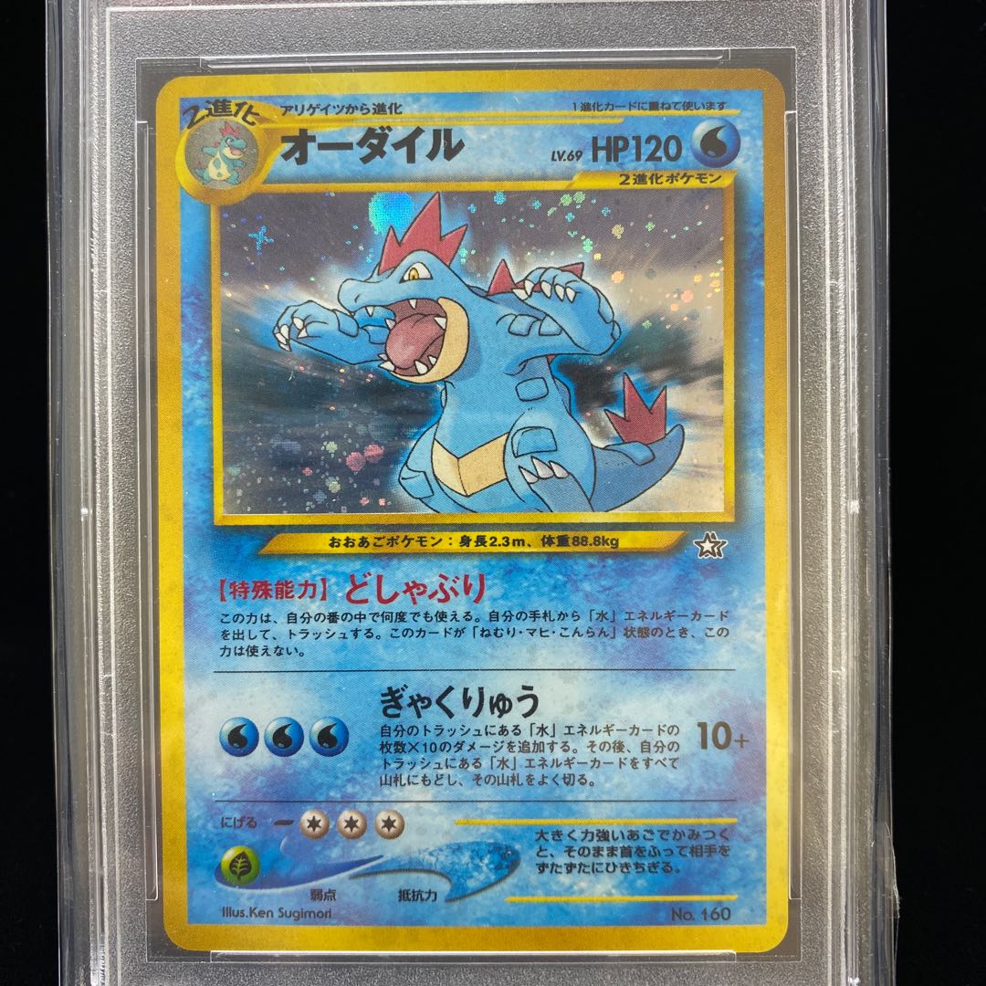 オーダイル PSA9 どしゃぶり ぎゃくりゅう