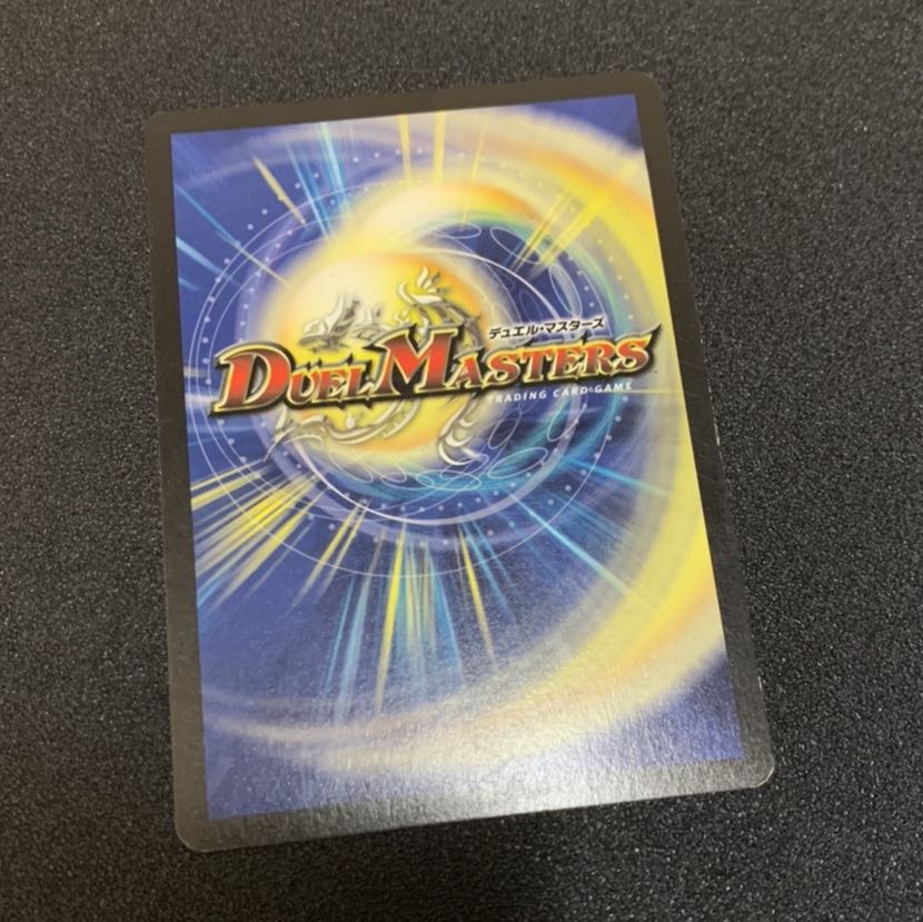 神秘の超人 フランス語 1枚