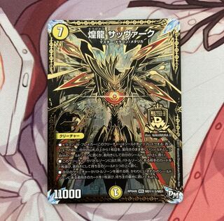 煌龍 サッヴァーク