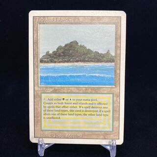 Tropical Island Tropical Island Condition: About EX