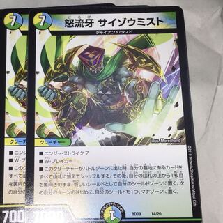 2枚 サイゾウミスト