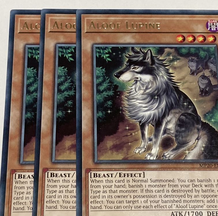 孤高除獣　英語版　EU版　3枚