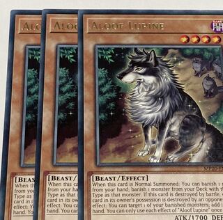 孤高除獣　英語版　EU版　3枚