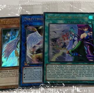 lost  art イタリア語版　EU版　ハーピィ