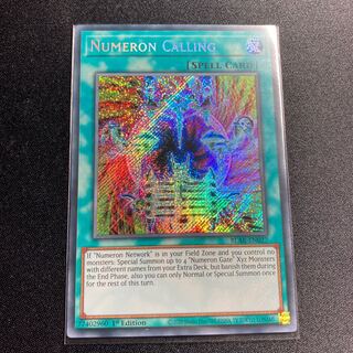 ヌメロン・ダイレクト シークレット 英語 1st Ed