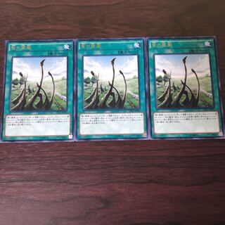竜の霊廟 レア　3枚