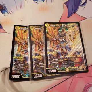 神聖龍 エモーショナル・ハードコア