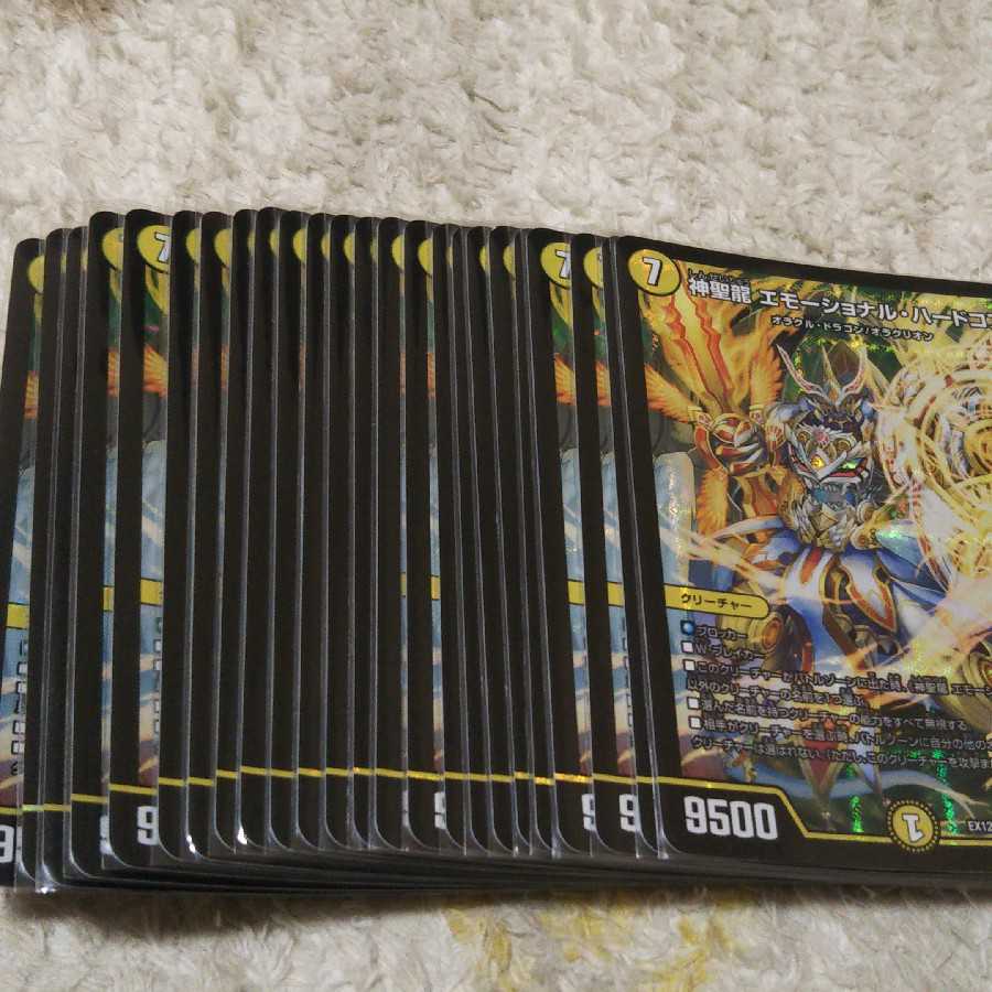 神聖龍 エモーショナル・ハードコア