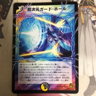 [最安値]超次元ガード・ホール