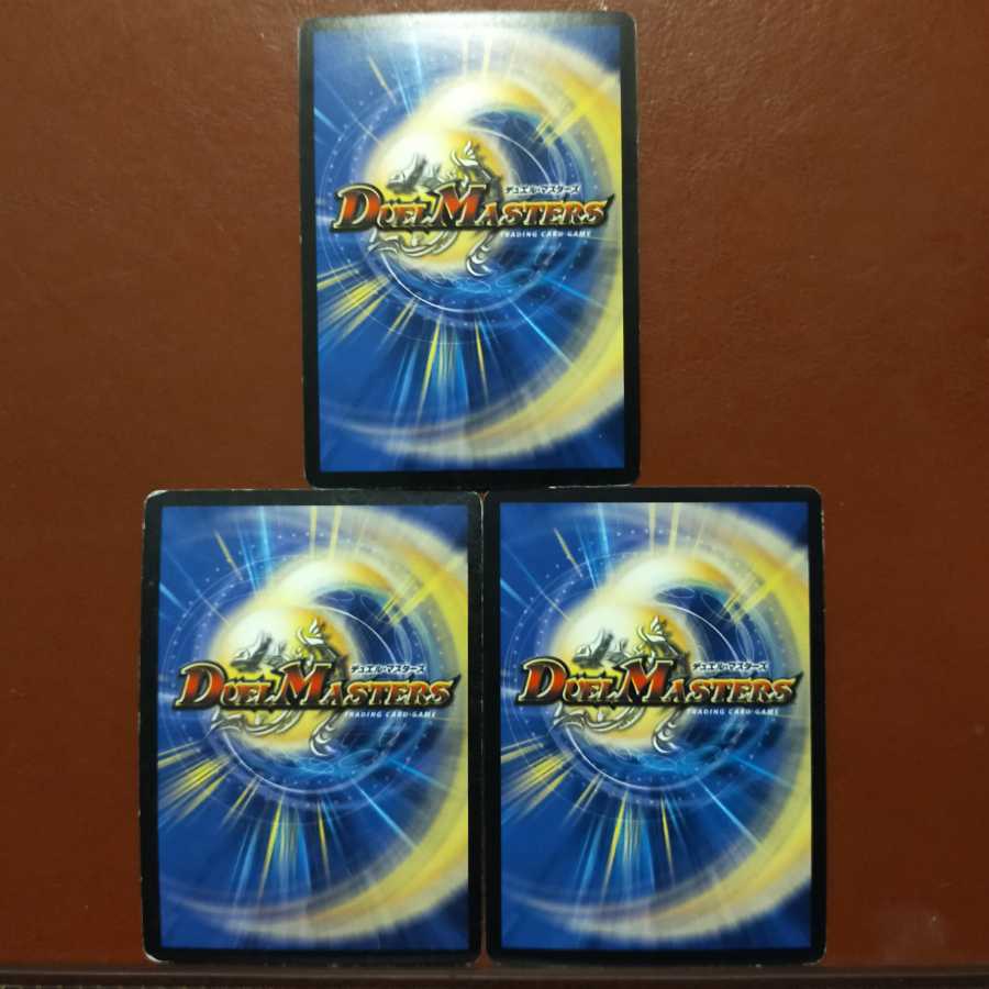 7042さん専用　セット割引　聖鎧亜クイーン・アルカディアス