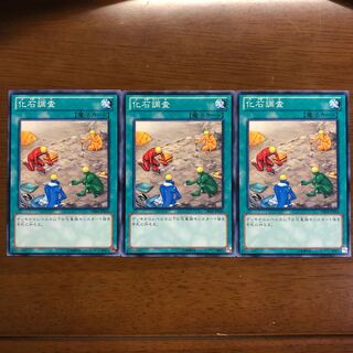 化石調査 ノーマル 3枚