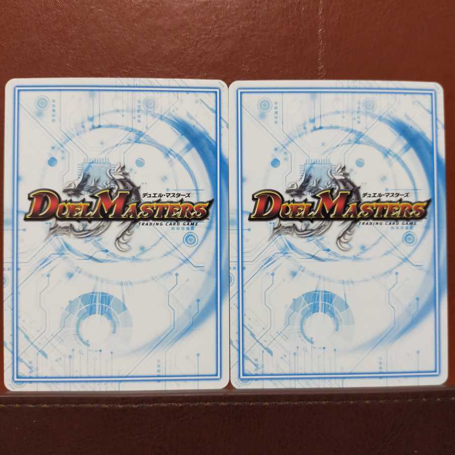 セット割引 甲殻 TS-10