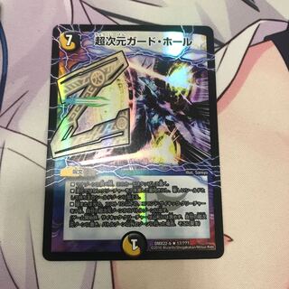 超次元ガードホール