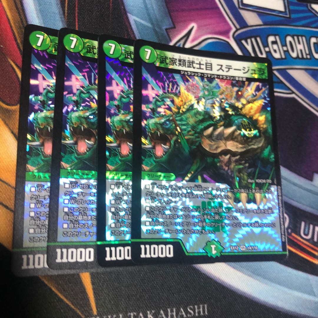 武家類武士目 ステージュラ