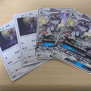 タイプヌル　シルバディgx