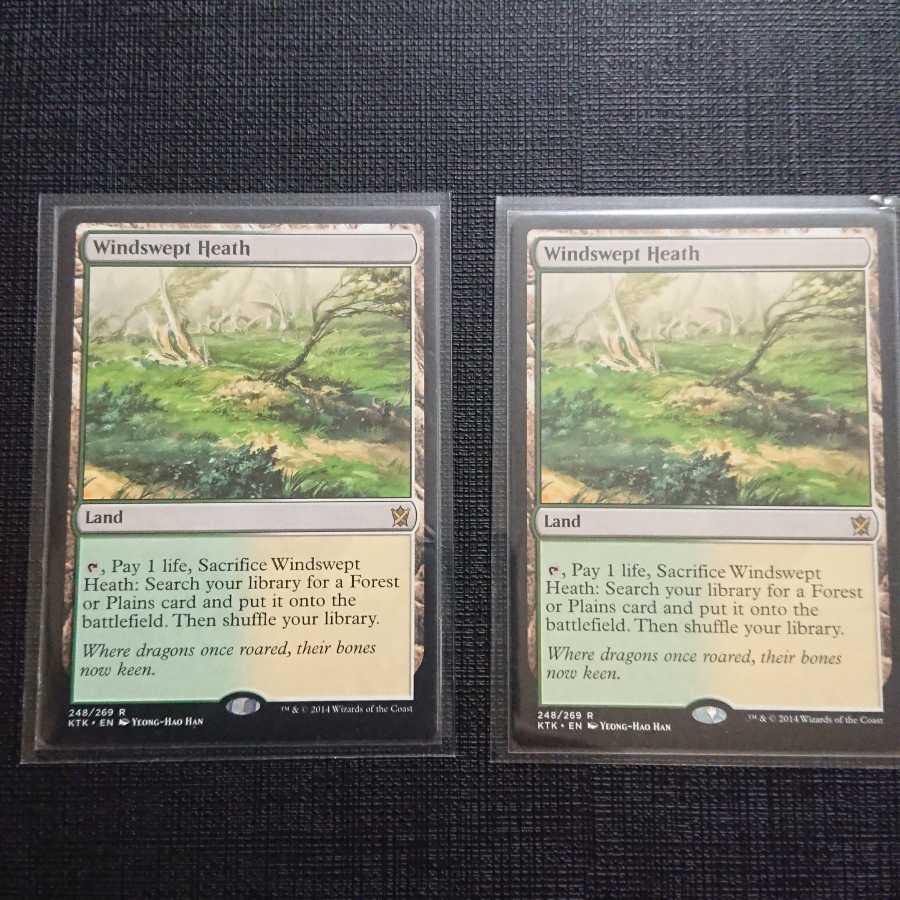 吹きさらしの荒野