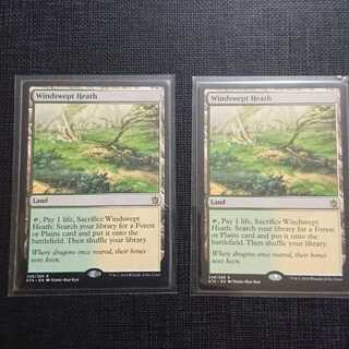 吹きさらしの荒野