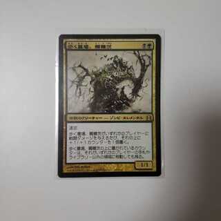 歩く墓場、髑髏茨/Skullbriar, the Walking Grave

 1枚