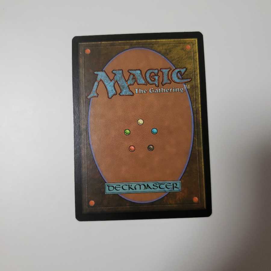 真の木立ち/Sterling Grove