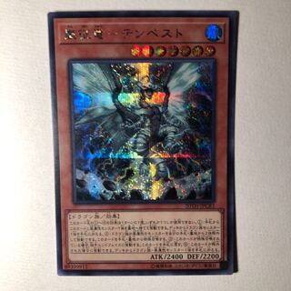 嵐征竜テンペスト シク 美品