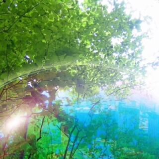 うどんさま専用