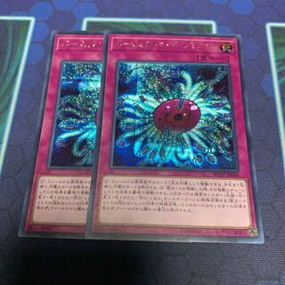 バージェストマ・ディノミスクス シークレットレア　専用