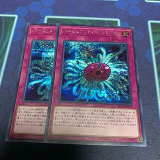 バージェストマ・ディノミスクス シークレットレア