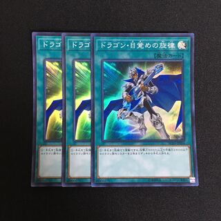 専用(二点)a350 ドラゴン・目覚めの旋律 トレトレ