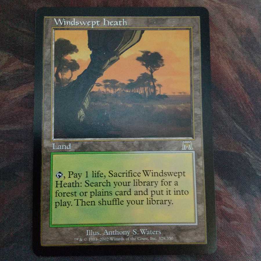 吹きさらしの荒野　英　ONS